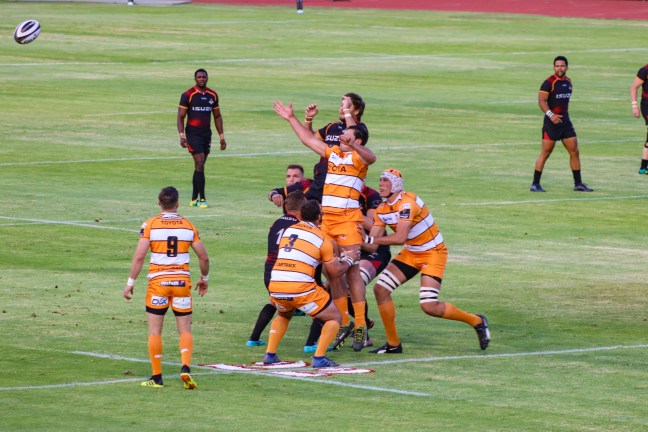 Kings lineout