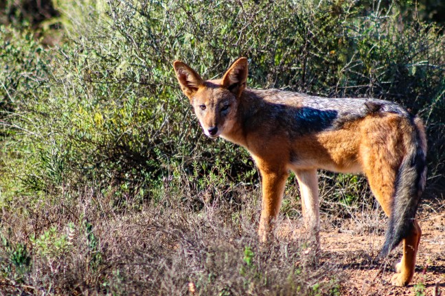 -2716576961142449075_IMG_7827