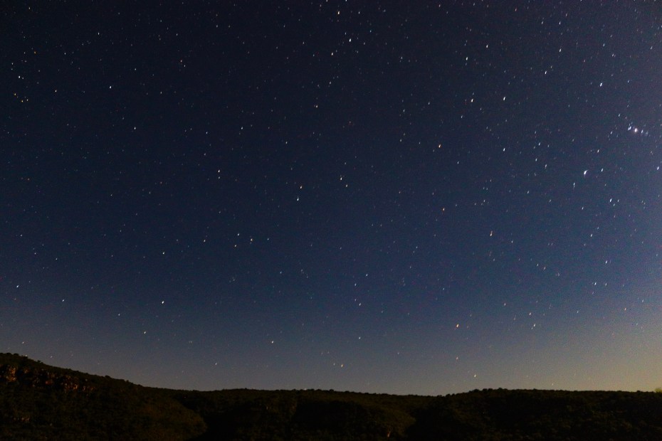 -4487275426381396097_IMG_7981